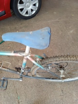 Bicicleta Montaña sillín manchado y rueda desinfla