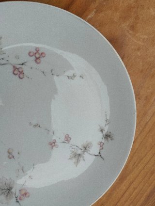 Plato vintage Bidasoa España