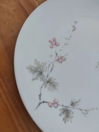 Plato vintage Bidasoa España