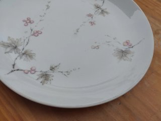 Plato vintage Bidasoa España