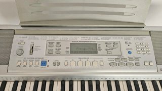 Teclado Casio CTK-810