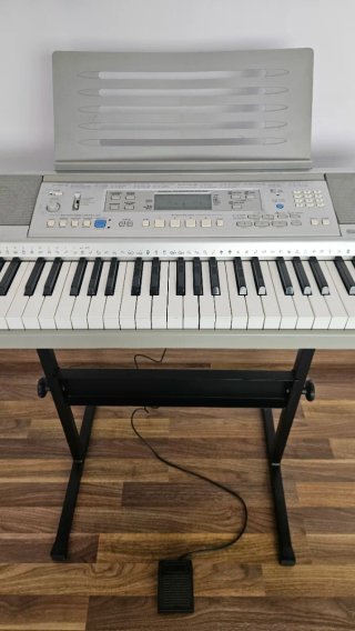 Teclado Casio CTK-810