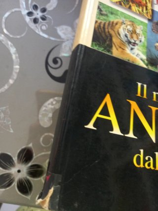 Il mondo degli animali