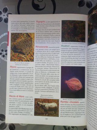 Il mondo degli animali