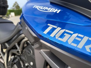 Moto trail Triumph Tiger 800 XRX de color Azul.