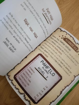 Diario de un aldeano pringao
