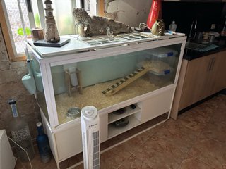 Terrario grande para mascotas