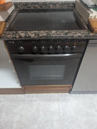 Placa vitrocerámica y horno Fagor