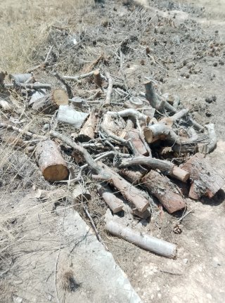Leña de pino para chimenea
