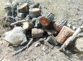 Leña de pino para chimenea