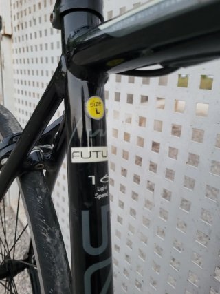 Bicicleta WST Future 500