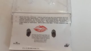 Joaquín Sabina Esta boca es mía