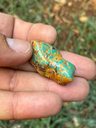 Turquesa Auténtica Arizona