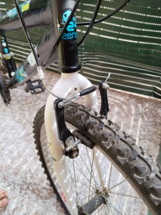 Bicicleta First Teens 24