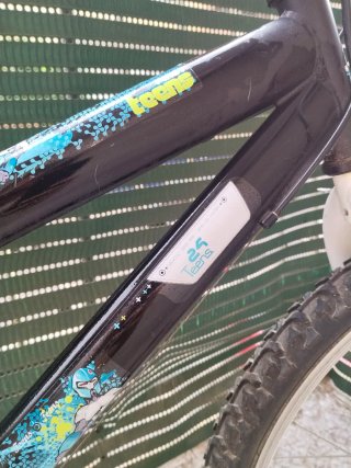 Bicicleta First Teens 24