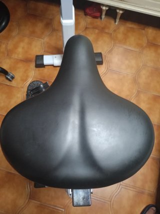 Bicicleta Estática Salter Ronda PT 1970