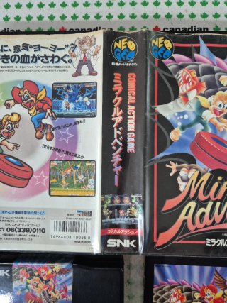 Miracle Adventure Neo Geo
