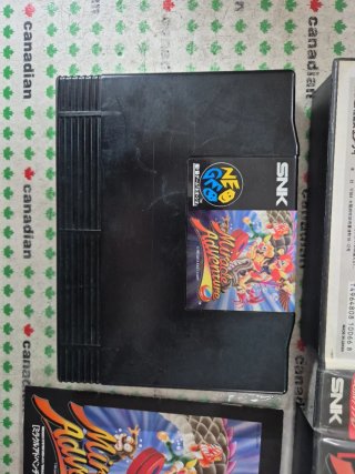 Miracle Adventure Neo Geo