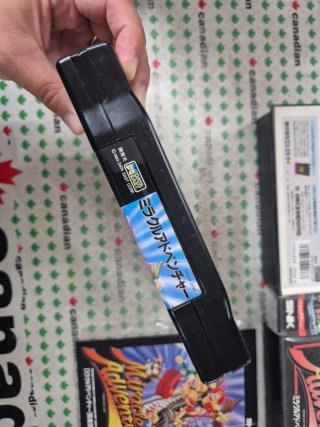 Miracle Adventure Neo Geo
