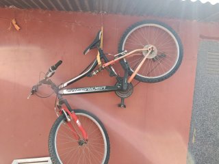 Bicicleta Freerider