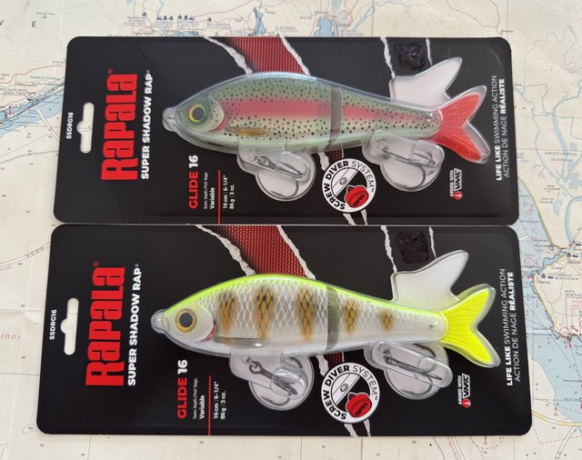 Lote 2 Rapala Super Shadow Rap 16 - 229