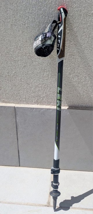 Bastón Leki Traveller Carbon