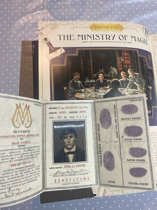 Libro Los Crimenes de Grindelwald