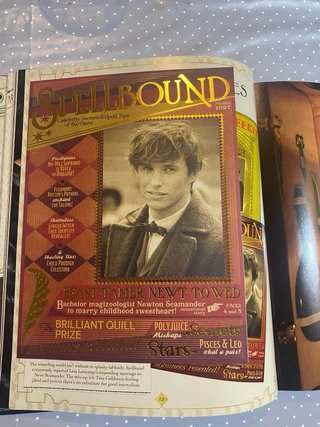 Libro Los Crimenes de Grindelwald