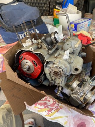 Rotor Selettra Italkit Euro 2/3/4