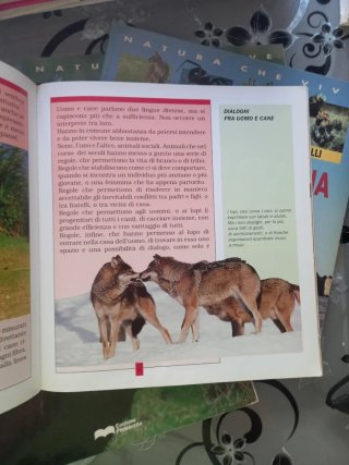Collezione Natura che vive