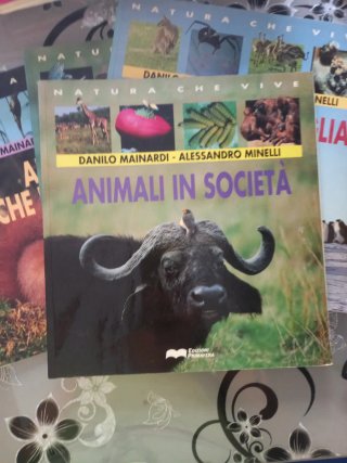 Collezione Natura che vive
