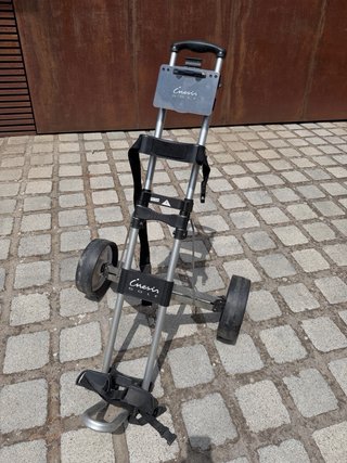 Bolsa de palos de golf con carrito