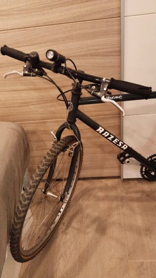 Bicicleta RAZESA RHENUS