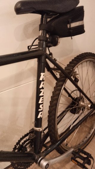 Bicicleta RAZESA RHENUS