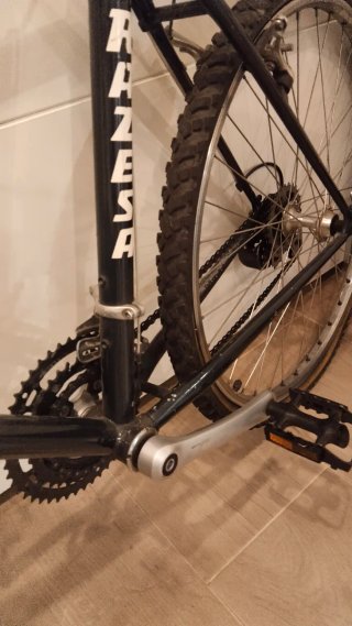 Bicicleta RAZESA RHENUS