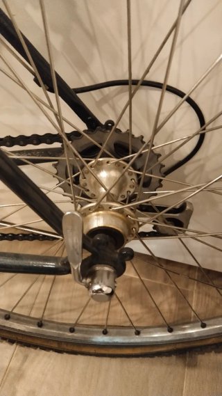 Bicicleta RAZESA RHENUS
