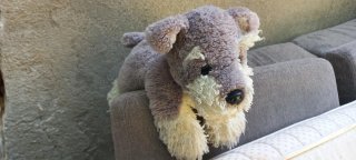 Accesorios y juguetes para niño