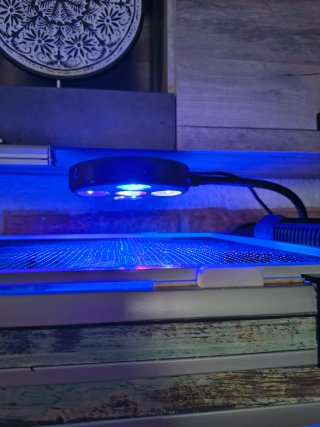 Pantalla LED Coral Box Moon plus para marino