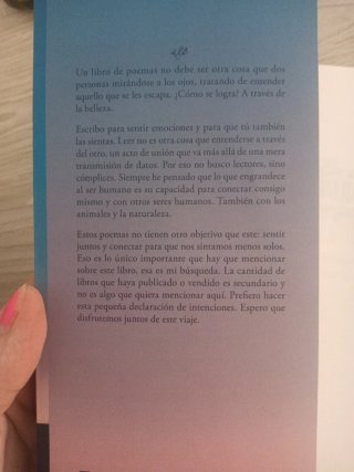 Los amores imparables