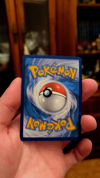 STARTERS POKEMON