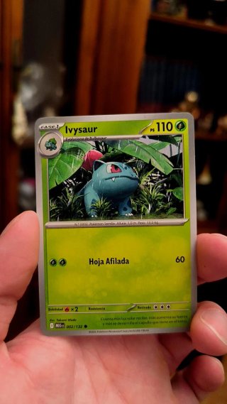STARTERS POKEMON