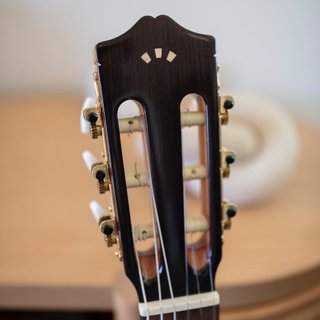Guitarra Clásica Córdoba C5
