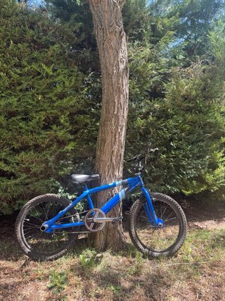 Bicicleta BMX Trek Azul