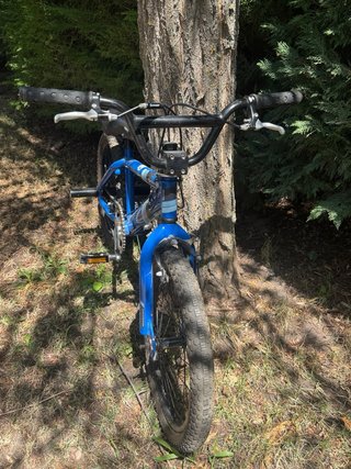 Bicicleta BMX Trek Azul