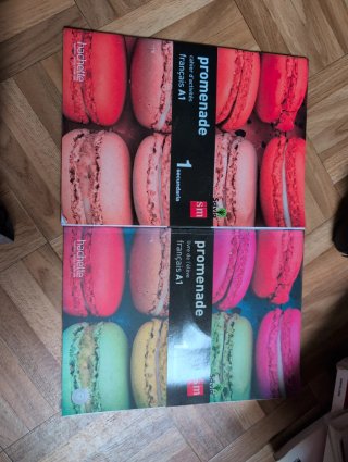 Promenade, français A1, 1 Secundaria Livre de l...