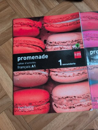 Promenade, français A1, 1 Secundaria Livre de l...