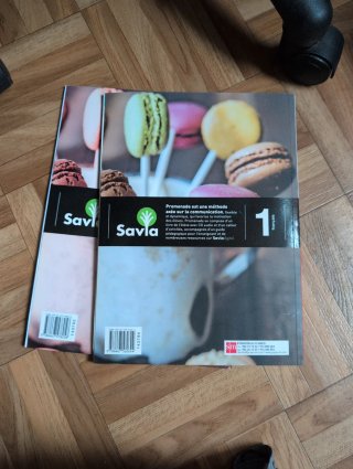 Promenade, français A1, 1 Secundaria Livre de l...