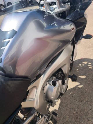 Yamaha FZ6 Sportbike