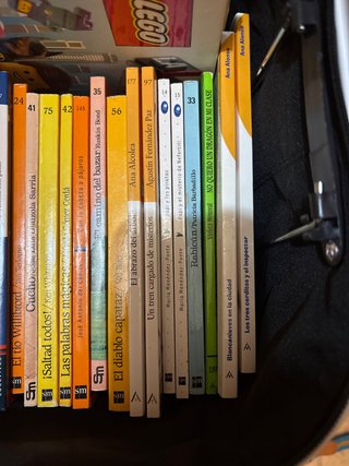 Lote libros 15 libros indantiles