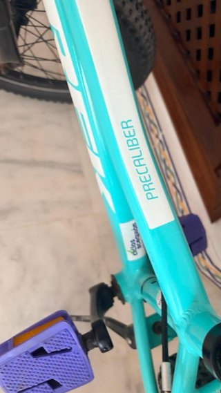 Bicicleta Infantil Trek Precaliber 20 7V